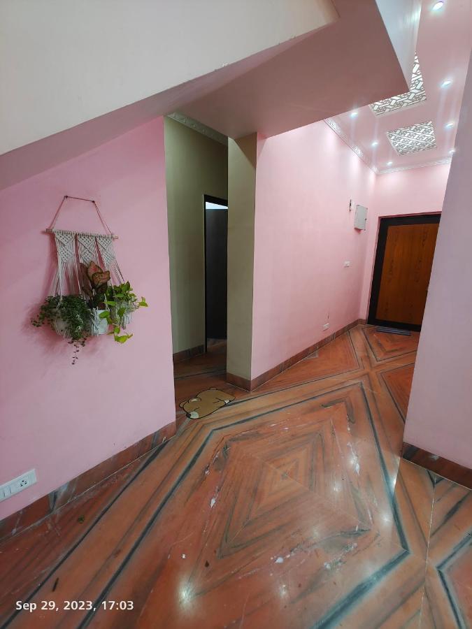 Backpackers Hostel *